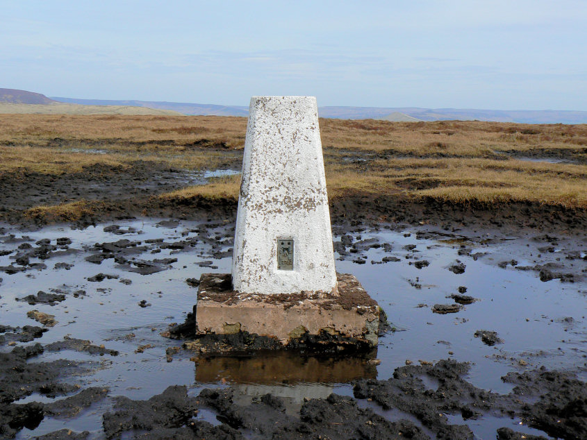 Brown Knoll's trig Brown Knoll's trig